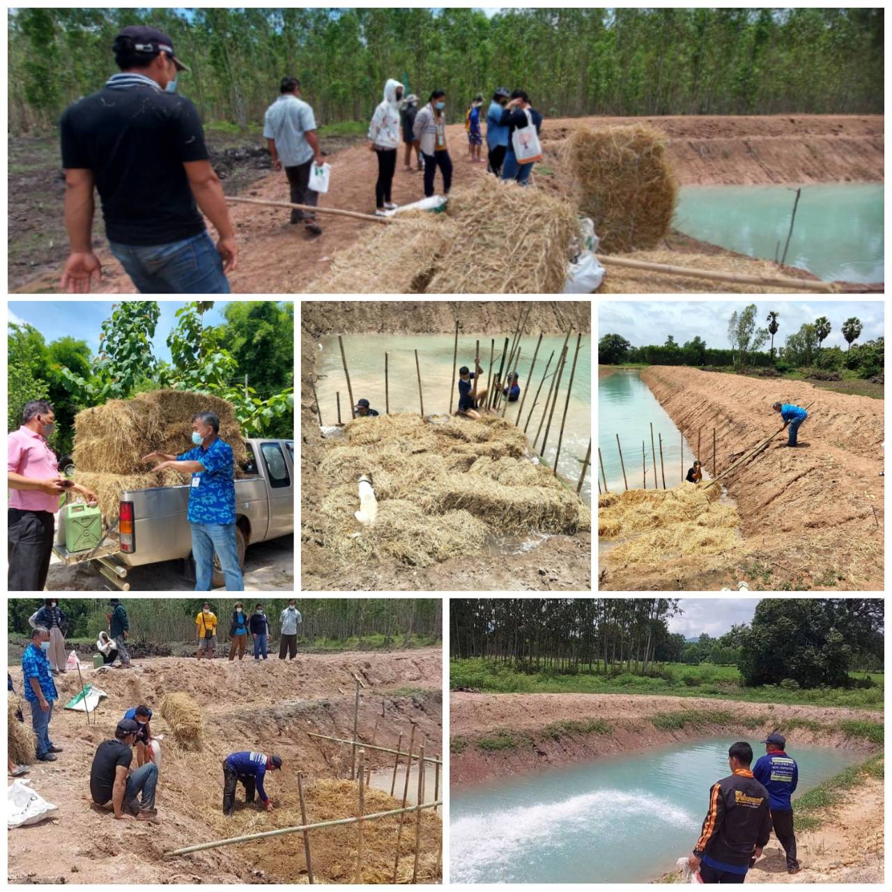 ถ่ายทอดความรู้ด้านการเลี้ยงสัตว์น้ำ การเตรียมความพร้อมบ่อเลี้ยงสัตว์น้ำ ก่อนรับพันธุ์สัตว์น้ำจากกรมประมง โครงการ 1 ตำบล 1 กลุ่มเกษตรทฤษฎีใหม่ พื้นที่ อ.ประจันตคาม ..คลิก