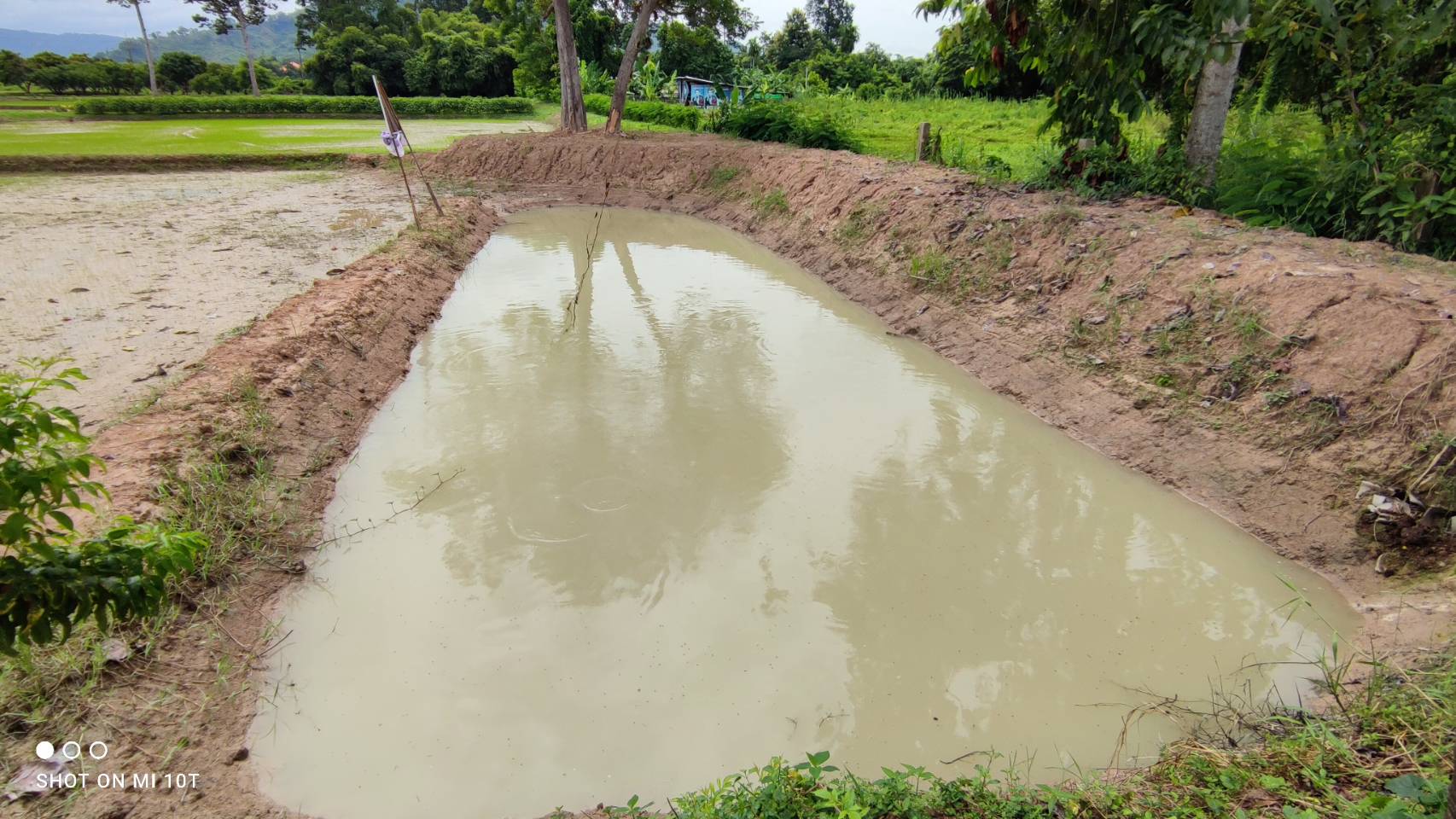 ใครว่าในน้ำไม่มีปลา ในนาข้าวมีสารพัดสารพิษ มาหาประมงจะเลี้ยงให้ดู..คลิก