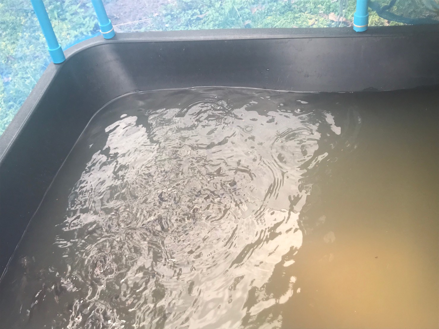 กู้วิกฤตโควิด-19 ระลอกใหม่ ด้วยแหล่งอาหารสำรอง..คลิก