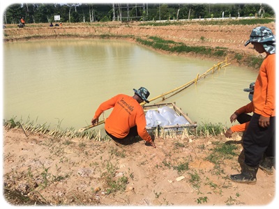 กิจกรรมเพิ่มผลผลิตสัตว์น้ำ..คลิก