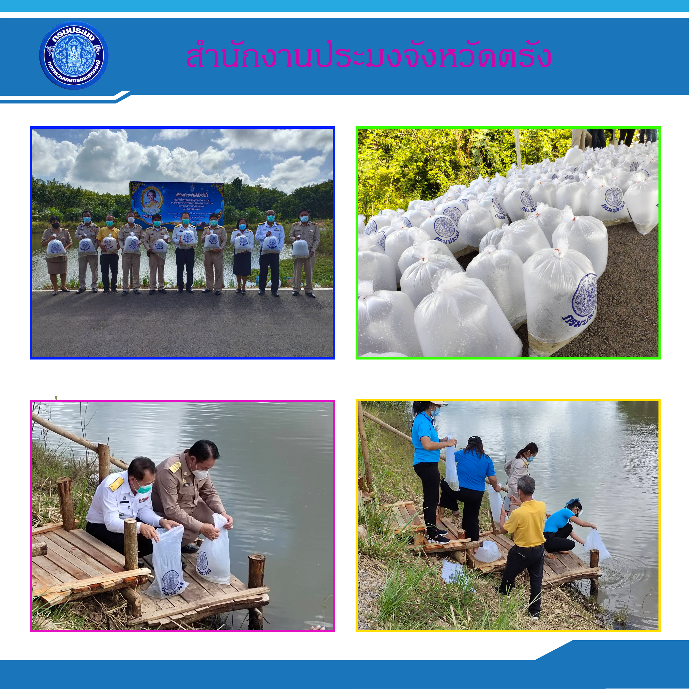 สำนักงานประมงจังหวัดตรังจัดพิธีปล่อยพันธุ์สัตว์น้ำเฉลิมพระเกียรติเนื่องในโอกาสวันเฉลิมพระชนมพรรษา สมเด็จพระนางเจ้าสิริกิติ์ พระบรมราชินีนาถ พระบรมราชชนนีพันปีหลวง..คลิก