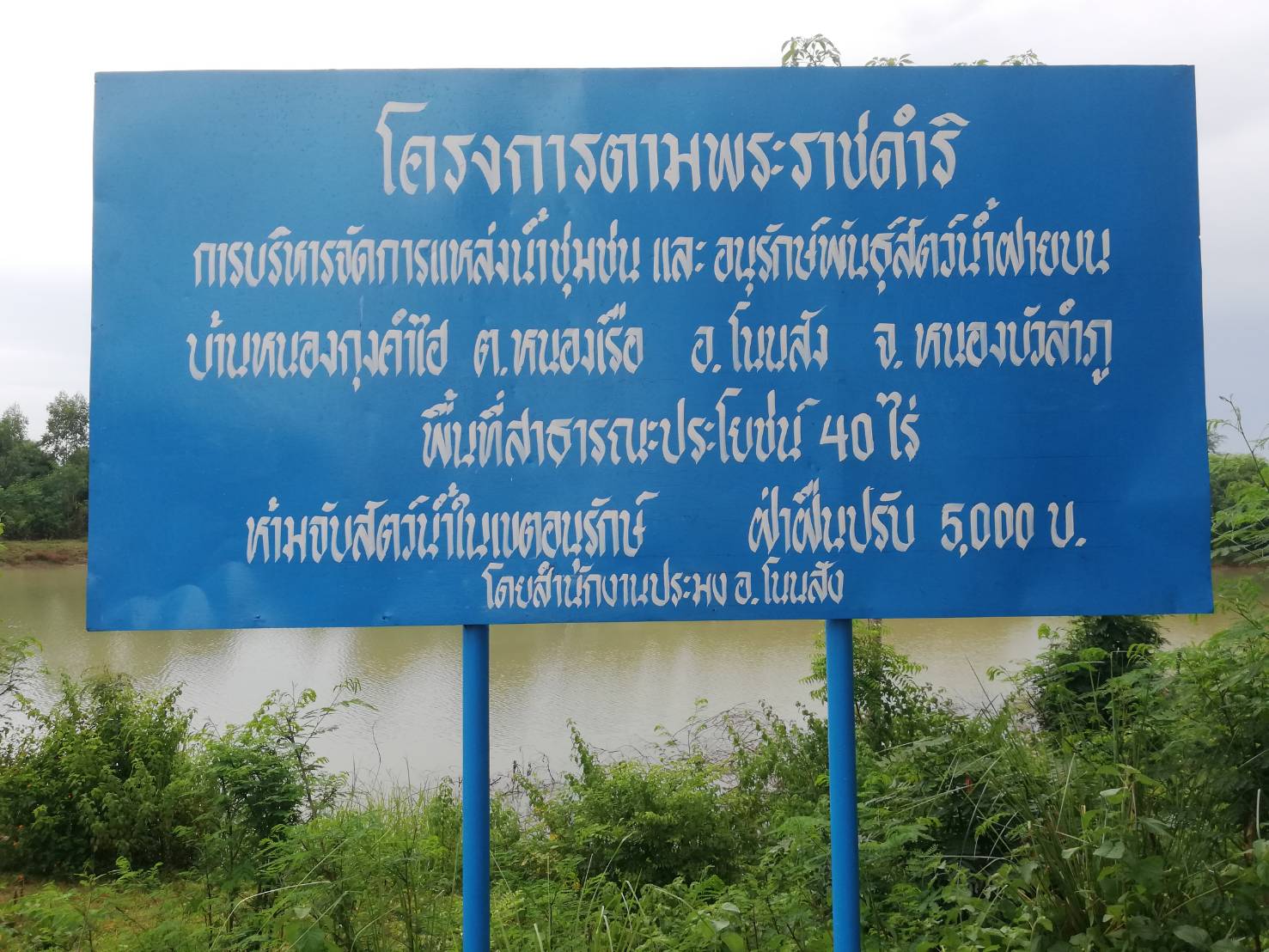 วันที่ 11 สิงหาคม 2564 นายวิทยา ประเสริฐสังข์ ประมงอำเภอโนนสัง มอบพันธุ์ปลาไทย (ปลาบ้า) จำนวน 70,000 ตัว..คลิก