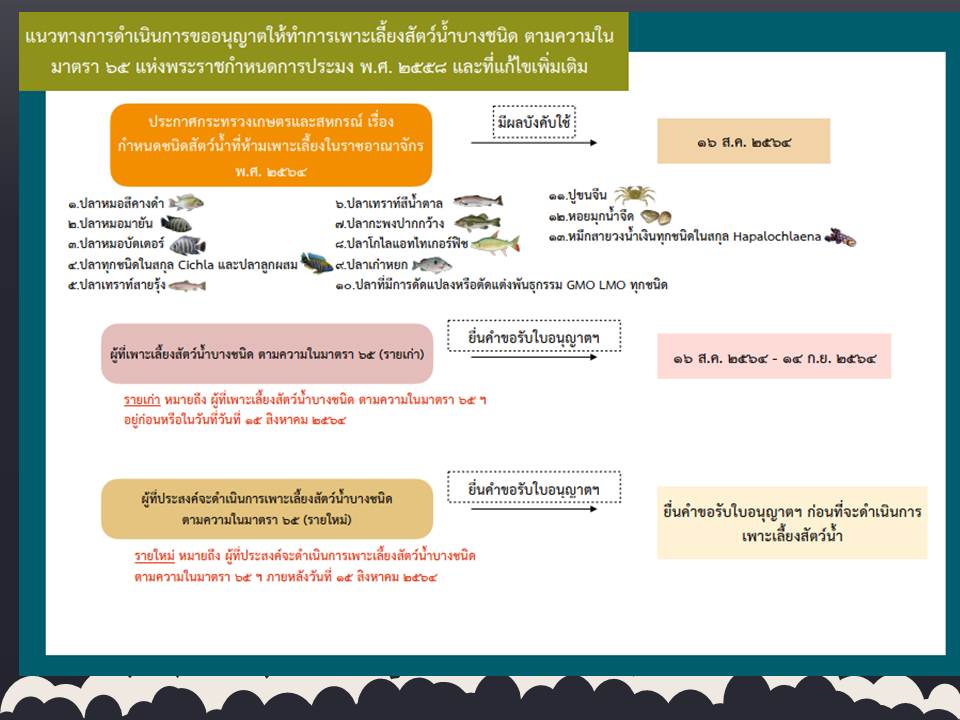 การขออนุญาตทำการเพาะเลี้ยงสัตว์น้ำ สำหรับสัตว์น้ำที่รัฐมนตรีประกาศกำหนดห้ามเพาะเลี้ยง หรือมีไว้ในครอบครองตามมาตรา 65  ..คลิก