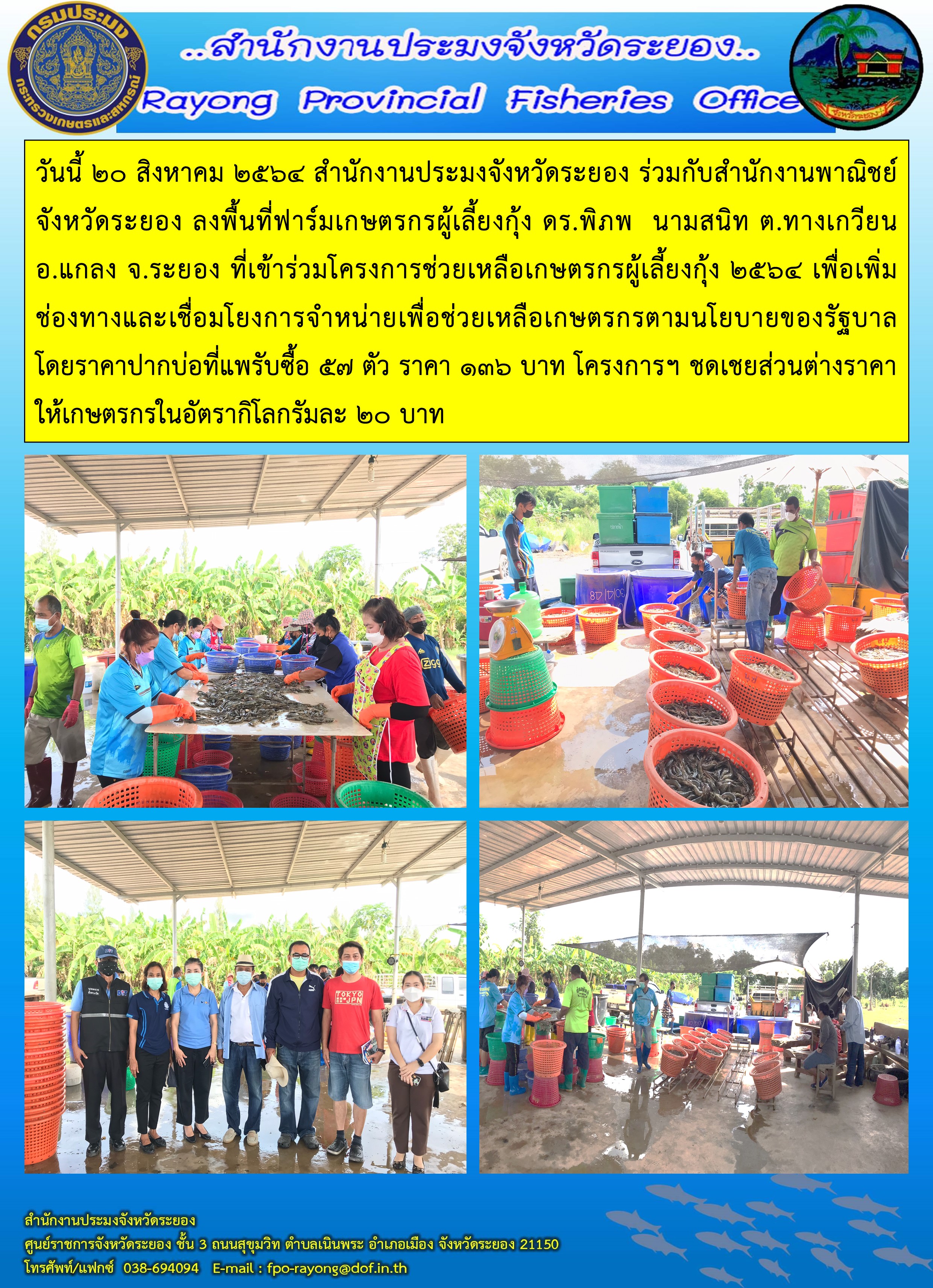 วันนี้ 20 สิงหาคม 2564 สำนักงานประมงจังหวัดระยอง ร่วมกับสำนักงานพาณิชย์จังหวัดระยอง ลงพื้นที่ฟาร์มเกษตรกรผู้เลี้ยงกุ้งเกษตรกรที่เข้าร่วมโครงการช่วยเหลือเกษตรกรผู้เลี้ยงกุ้ง 2564