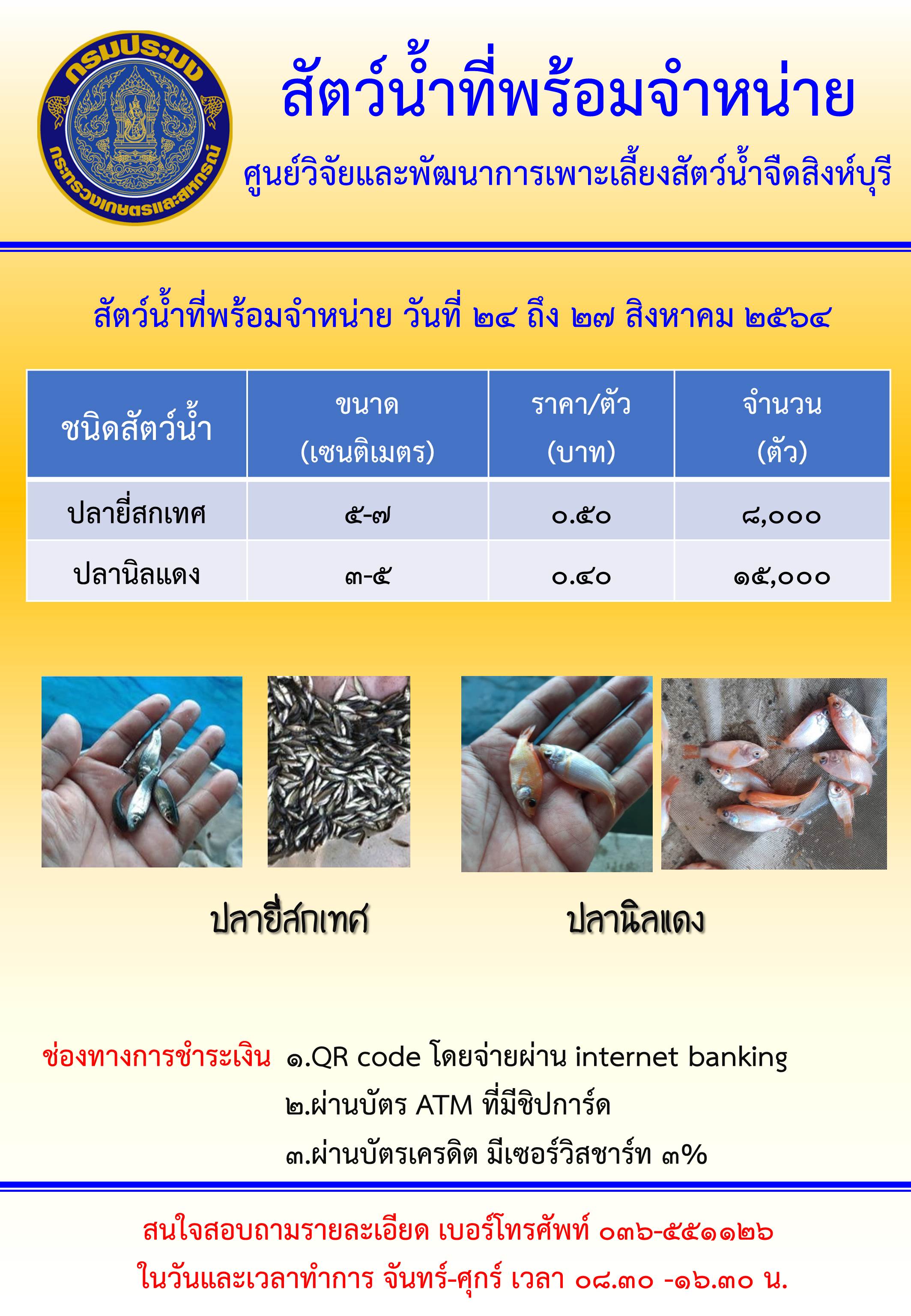 สัตว์น้ำมีจำหน่าย ประจำวันที่ 24-27 สิงหาคม 2564..คลิก