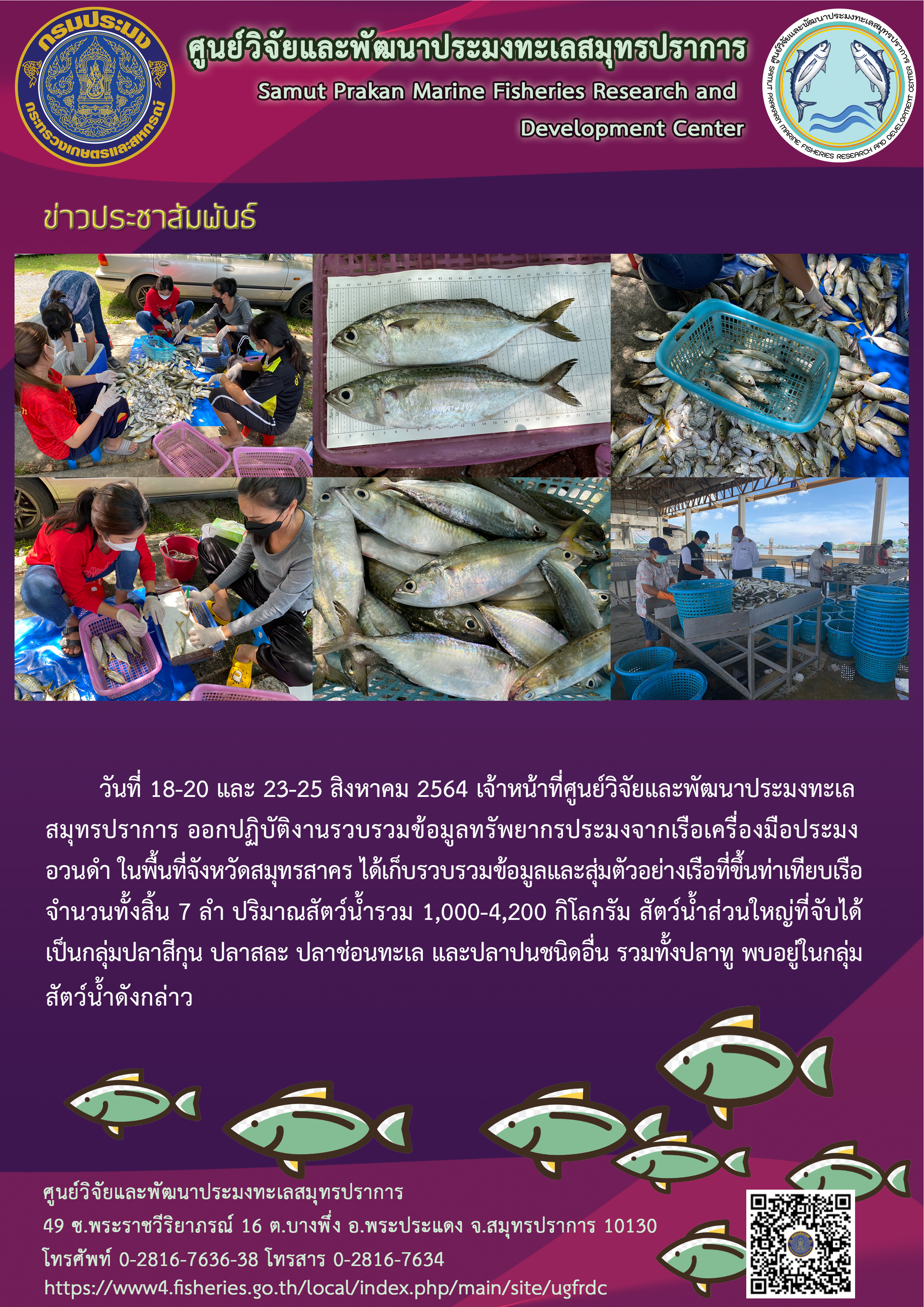 เจ้าหน้าที่ศูนย์วิจัยและพัฒนาประมงทะเลสมุทรปราการ ลงพื้นที่เก็บข้อมูลทรัพยากรประมงเรืออวนดำจังหวัดสมุทรสาคร..คลิก