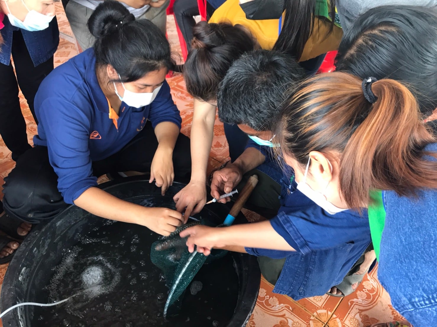 วันที่ 27 - 28 สิงหาคม 2564 กลุ่มพัฒนาและส่งเสริมอาชีพการประมง จัดฝึกอบรมเชิงปฏิบัติการโครงการส่งเสริมเกษตรอินทรีย์ วิถีหนองบัวลำภู ตามหลักเกษตร - ศาสตร์พระราชา กิจกรรมส่งเสริมการเพาะเลี้ยงปลา (Mobile Hatchery)..คลิก