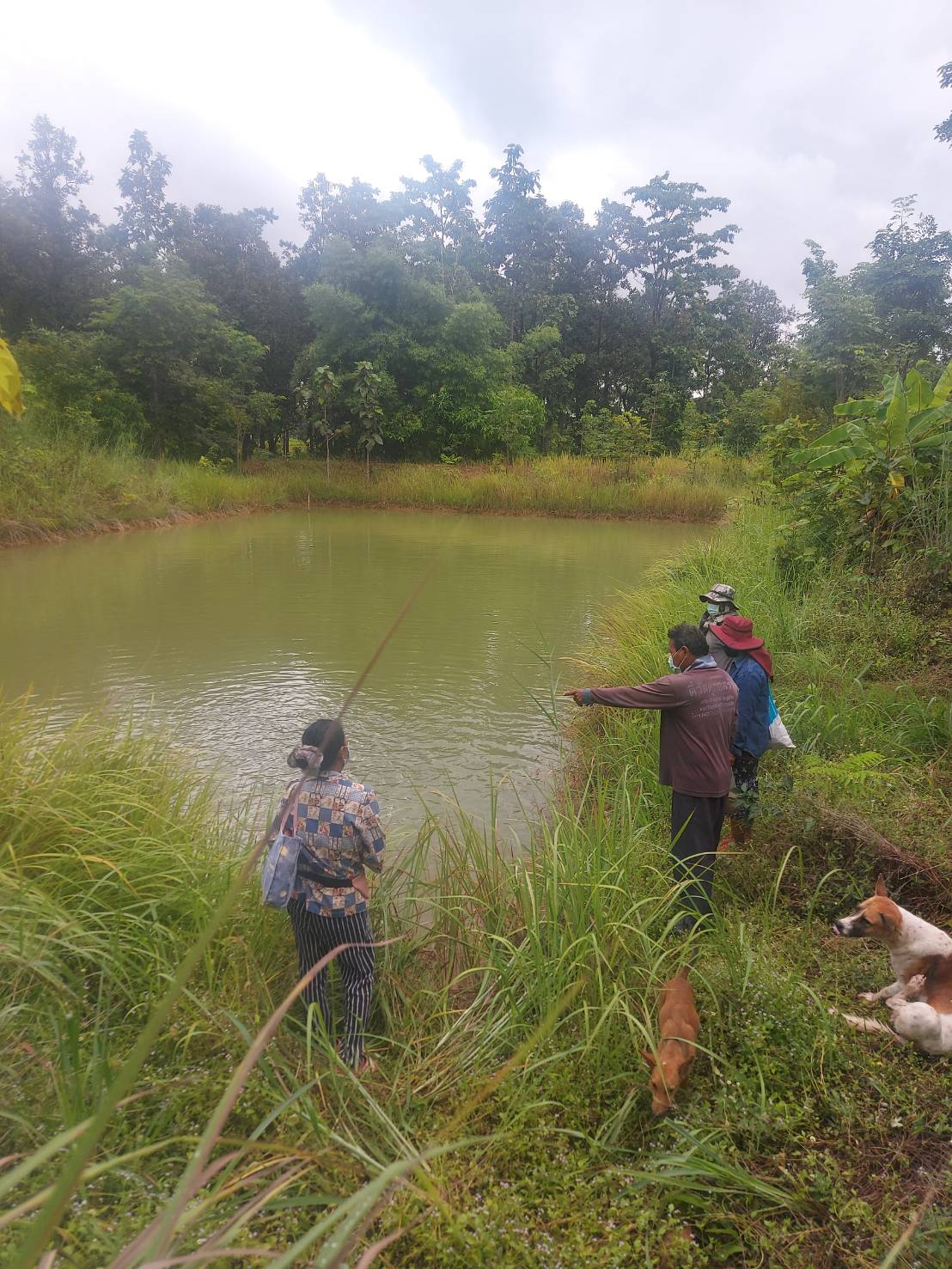 วันที่ 27 สิงหาคม 2564 นายประหยัด ยืดยาว ประมงอำเภอเมืองฯ ออกปฏิบัติที่ ตำบลโนนขมิ้น เพื่อติดตามให้คำแนะนำการเลี้ยงสัตว์แก่เกษตรกรที่เข้าร่วมกิจกรรมส่งเสริมและพัฒนาเกษตรกรเชิงรุกด้านประมง (Zoning by Agri map) ประจำปี 2564..คลิก