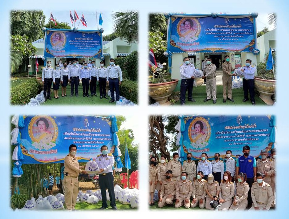 พิธีมอบและปล่อยพันธุ์สัตว์น้ำ ลงสู่แหล่งน้ำสาธารณะในพื้นที่จังหวัดพิจิตร เนื่องในวันเฉลิมพระชนมพรรษาสมเด็จพระนางเจ้าสิริกิติ์ พระบรมราชินีนาถ พระบรมราชชนนีพันปีหลวง 12 สิงหาคม 2564..คลิก