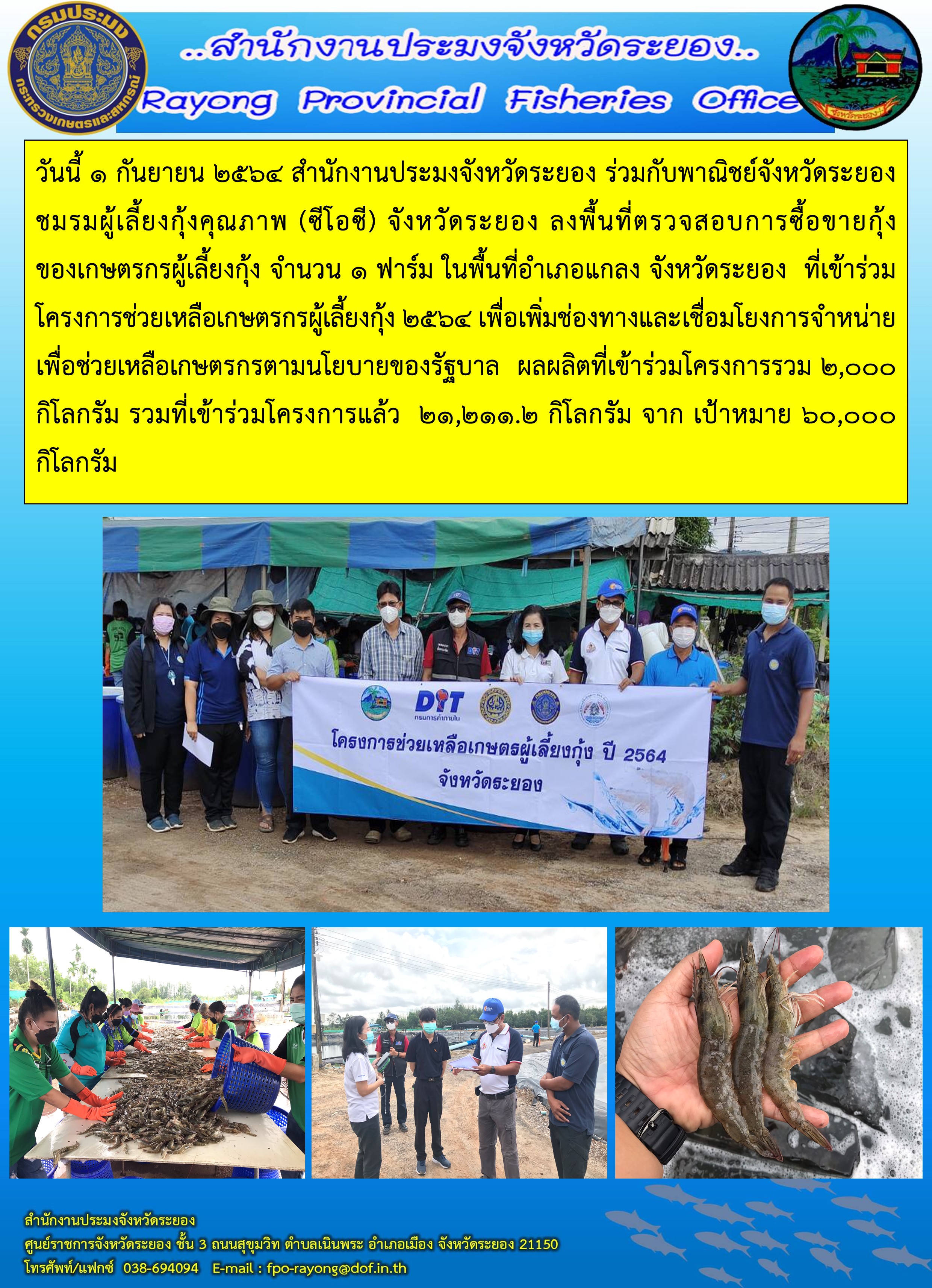 วันนี้ 1 กันยายน 2564 สำนักงานประมงจังหวัดระยอง ลงพื้นที่ตรวจสอบการซื้อขายกุ้งของเกษตรกรผู้เลี้ยงกุ้งที่เข้าร่วมโครงการช่วยเหลือเกษตรกรผู้เลี้ยงกุ้ง 2564