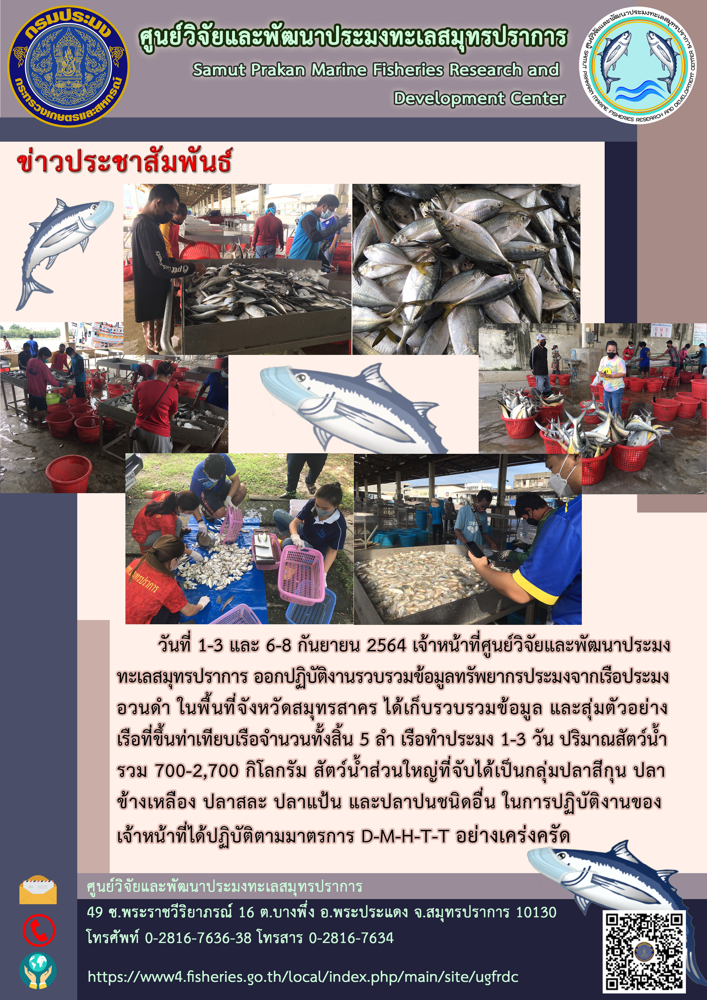 เจ้าหน้าที่ศูนย์วิจัยและพัฒนาประมงทะเลสมุทรปราการ ออกปฏิบัติงานรวบรวมข้อมูลทรัพยากรประมงจากเรือประมงอวนดำ ในพื้นที่จังหวัดสมุทรสาคร..คลิก