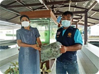 โครงการส่งเสริมอาชีพประมง..คลิก