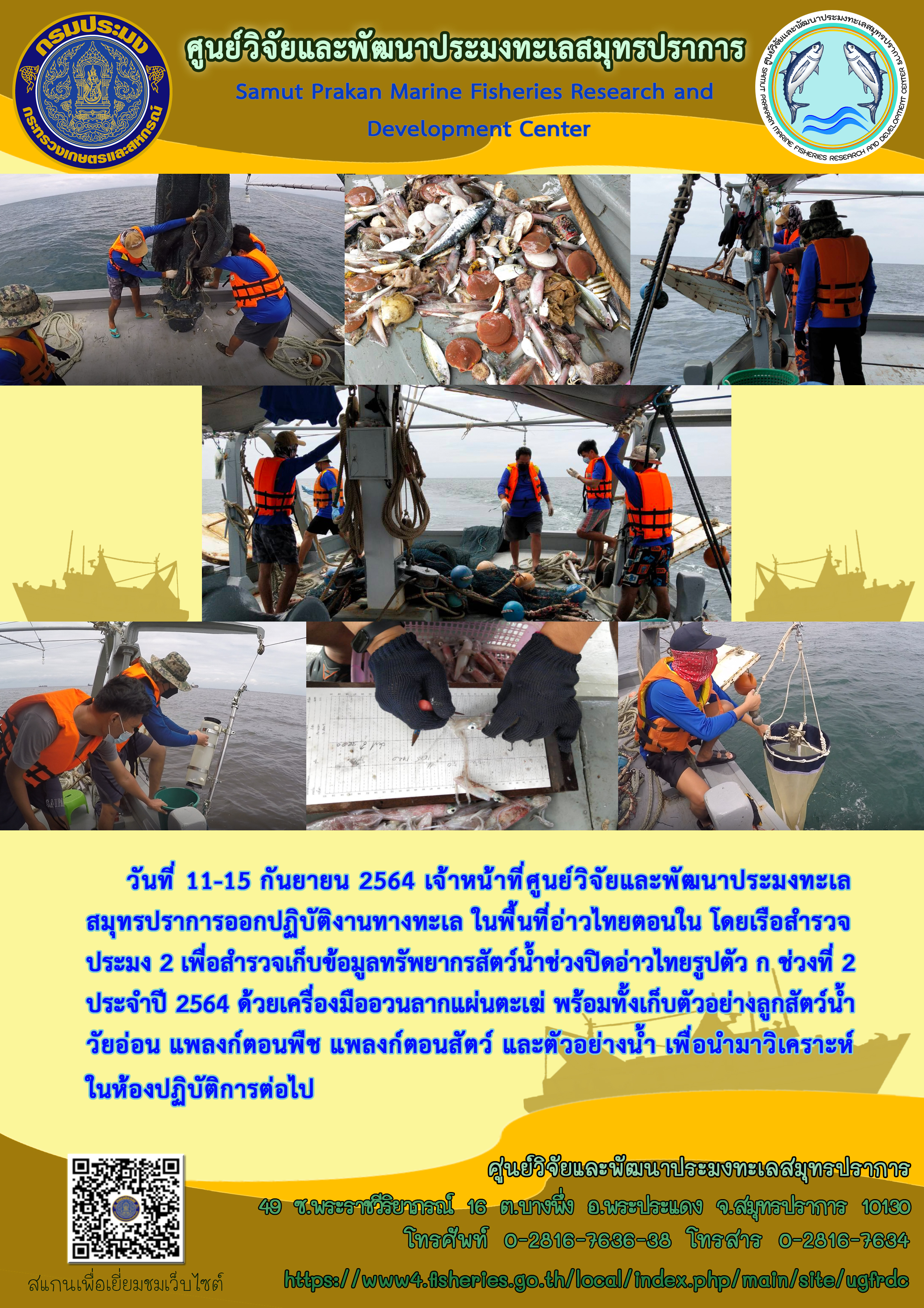 เจ้าหน้าที่ศูนย์วิจัยและพัฒนาประมงทะเลสมุทรปราการออกปฏิบัติงานทางทะเล ในพื้นที่อ่าวไทยตอนใน..คลิก