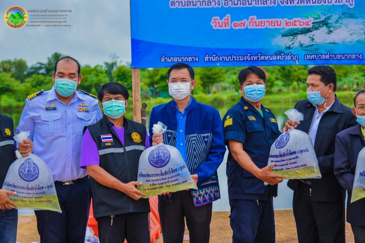 วันที่ 17 กันยายน 2564 ประมงอำเภอนากลาง ร่วมกับเทศบาลตำบลนากลาง จัดกิจกรรมปล่อยพันธุ์สัตว์น้ำ เนื่องในวันประมงแห่งชาติ ประจำปี  2564  พันธุ์สัตว์น้ำ จำนวน 80,000 ตัว..คลิก
