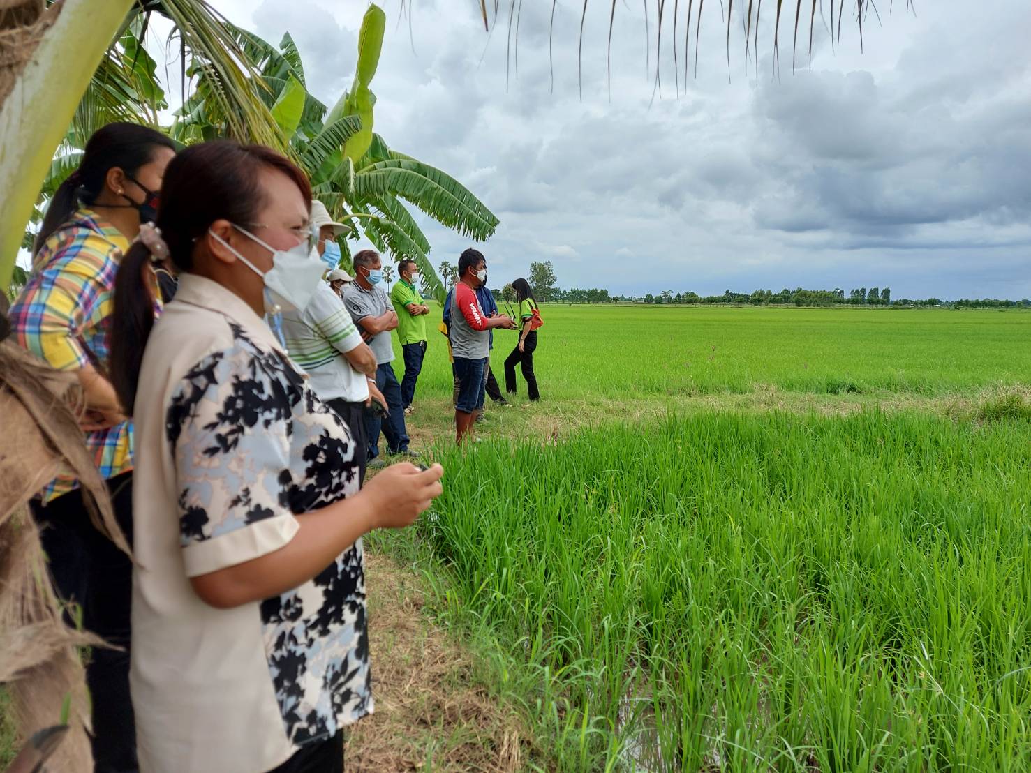 กิจกรรมการฝึกอบรมเกษตรกรโครงการ 1 ตำบล 1 กลุ่มเกษตรทฤษฎีใหม่..คลิก