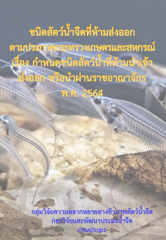 ชนิดสัตว์น้ำจืดที่ห้ามส่งออก ตามประกาศกระทรวงเกษตรและสหกรณ์ เรื่อง กำหนดชนิดสัตว์น้ำที่ห้ามนำเข้า ส่งออก หรือนำผ่านราชอาณาจักร พ.ศ. 2564..คลิก