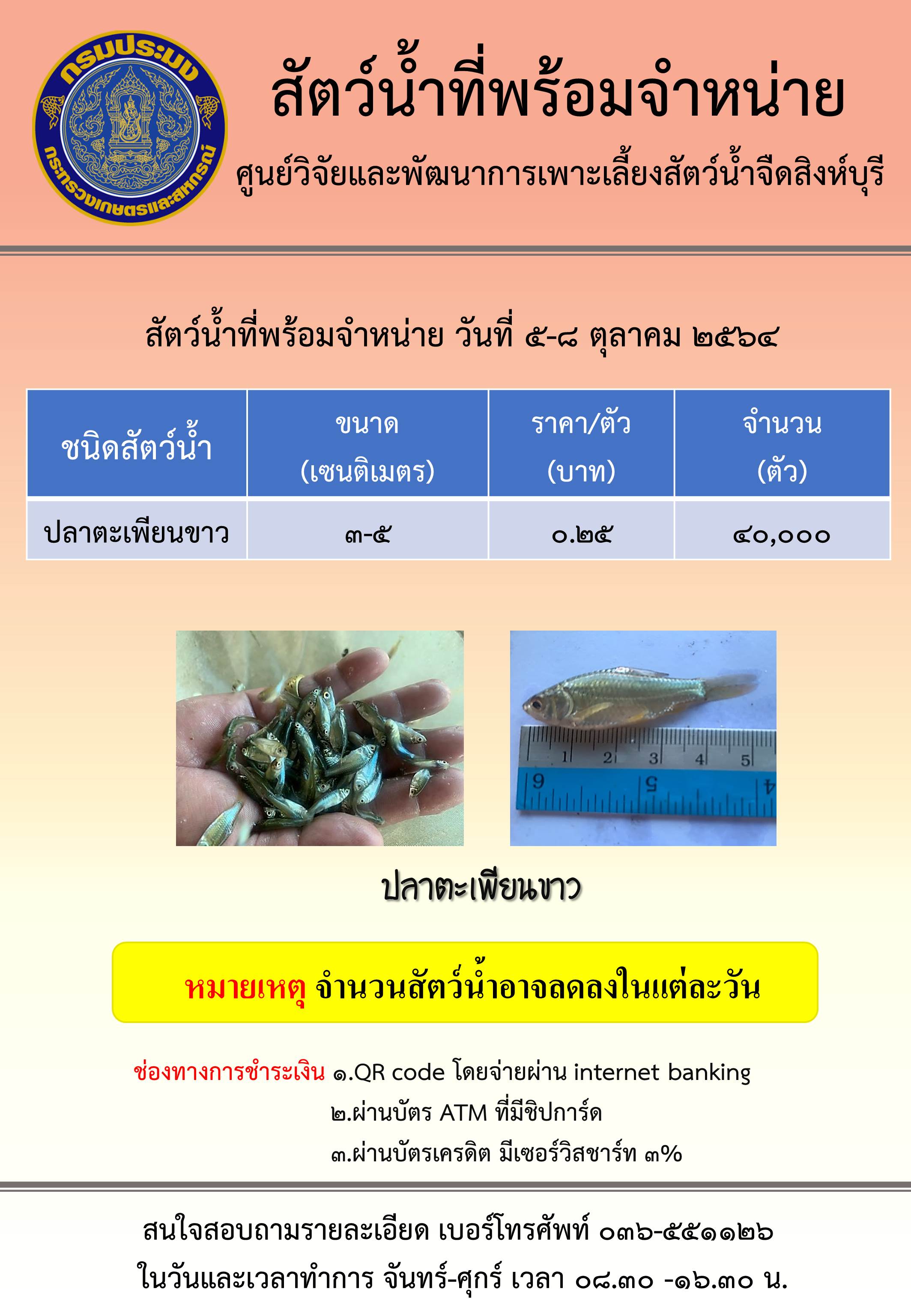 สัตว์น้ำที่พร้อมจำหน่ายวันที่ 4-8 ตุลาคม พ.ศ. 2564..คลิก
