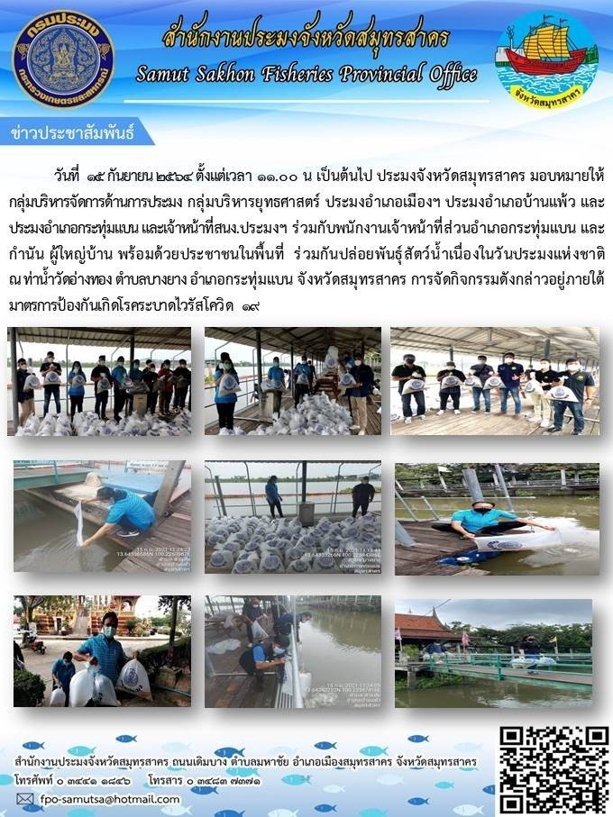 ร่วมกันปล่อยพันธุ์สัตว์น้ำเนื่องในวันประมงแห่งชาติ ท่าน้ำวัดอ่างทอง ตำบลท่ายาง อำเภอกระทุ่มแบน จังหวัดสมุทรสาคร..คลิก