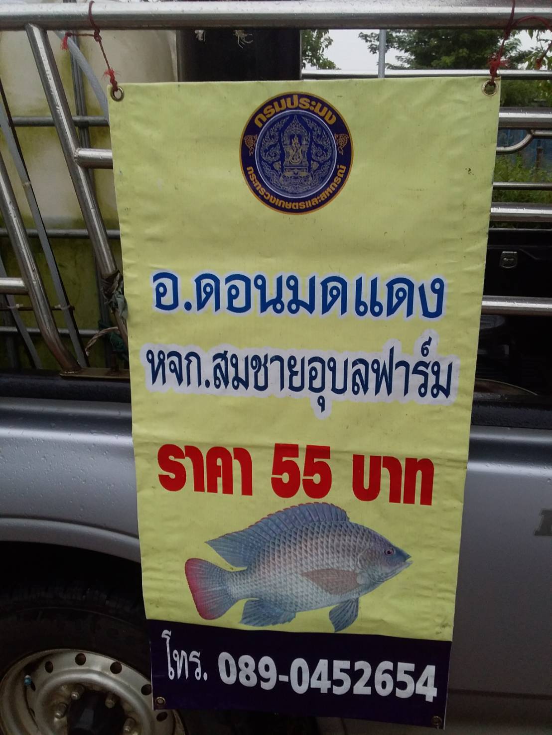 ประมงอำเภอเขมราฐ  ร่วมกับนายนวพล ตุ๋นมี ช่วยเหลือเกษตรกรผู้เลี้ยงปลานิลกระชัง ในเขตอำเภอดอนมดแดง  ที่ผลผลิตล้นตลาดในช่วงสถานการณ์โควิด 19..คลิก