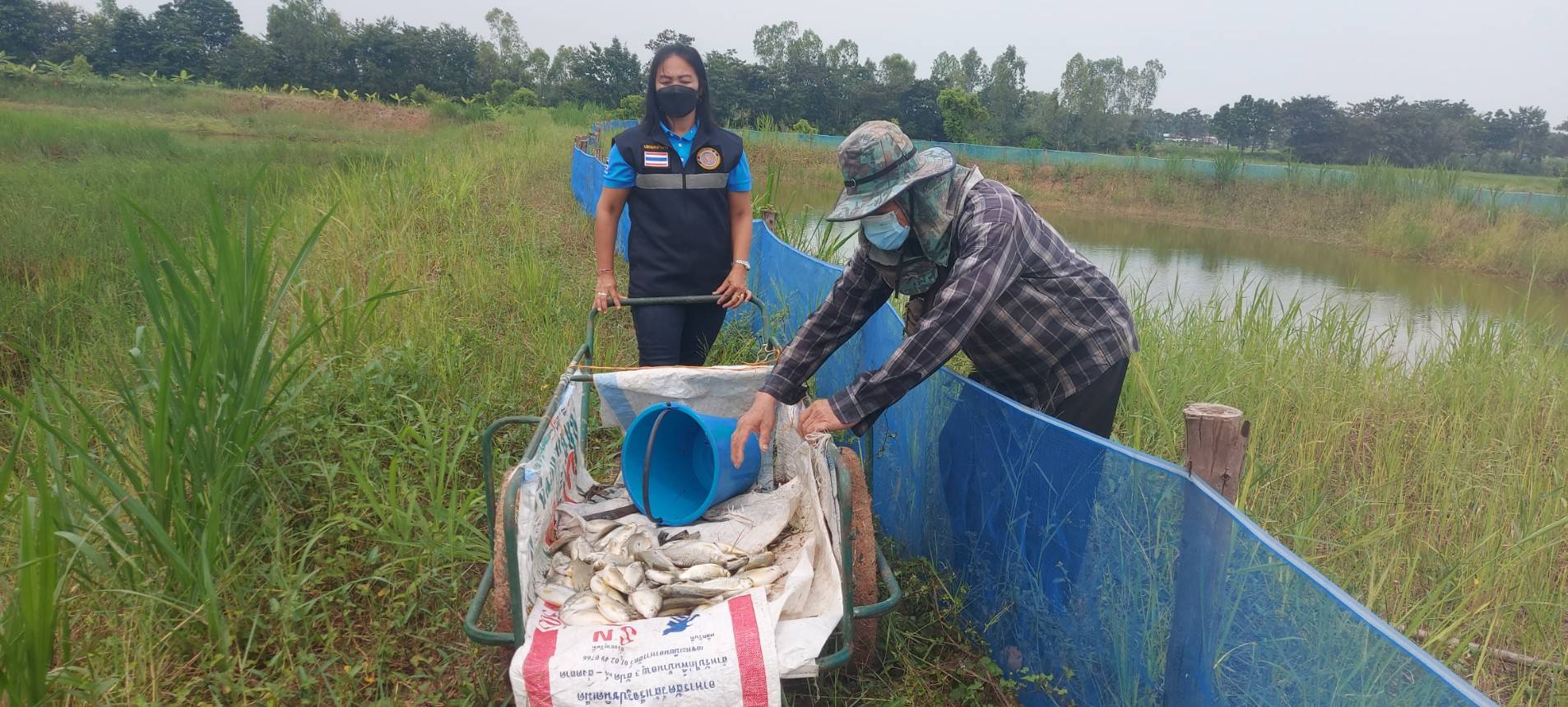ประมงอำเภอวารินชำราบ ได้รับแจ้งจากเกษตรกรผู้เลี้ยงปลาในบ่อดิน จำนวน2 รายมีปลาตายลอยหัวและปลาตาย จำนวน 2 ราย ในพื้นที่ ม.1 ต.ท่าลาด และ ม.9 ต.โนนโหนน อ.วารินชำราบ..คลิก