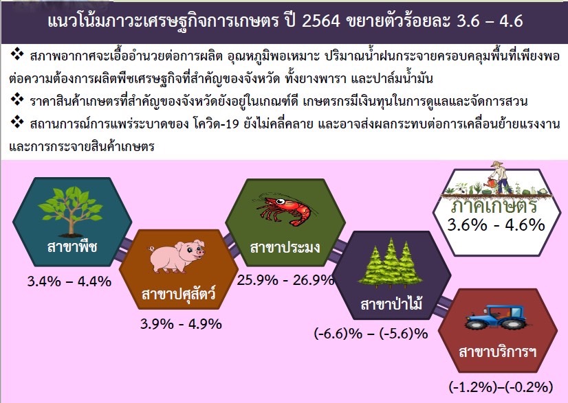 รายงานภาวะเศรษฐกิจการเกษตรไตรมาส 3/2564 และแนวโน้มปี 2564 จังหวัดนครศรีธรรมราช..คลิก