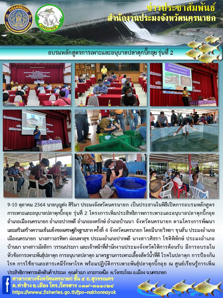 โครการเพิ่มประสิทธิภาพการเพาะและอนุบาลปลาดุกบิ๊กอุย รุ่นที่ 2..คลิก