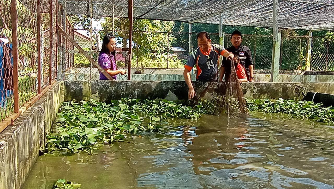 ติดตามงานโครงการอันเนื่องมาจากพระราชดำริฯ  กิจกรรมประมงโรงเรียน  ณ  โรงเรียนตำรวจตระเวนชายแดนในพื้นที่จังหวัดอำนาจเจริญ..คลิก