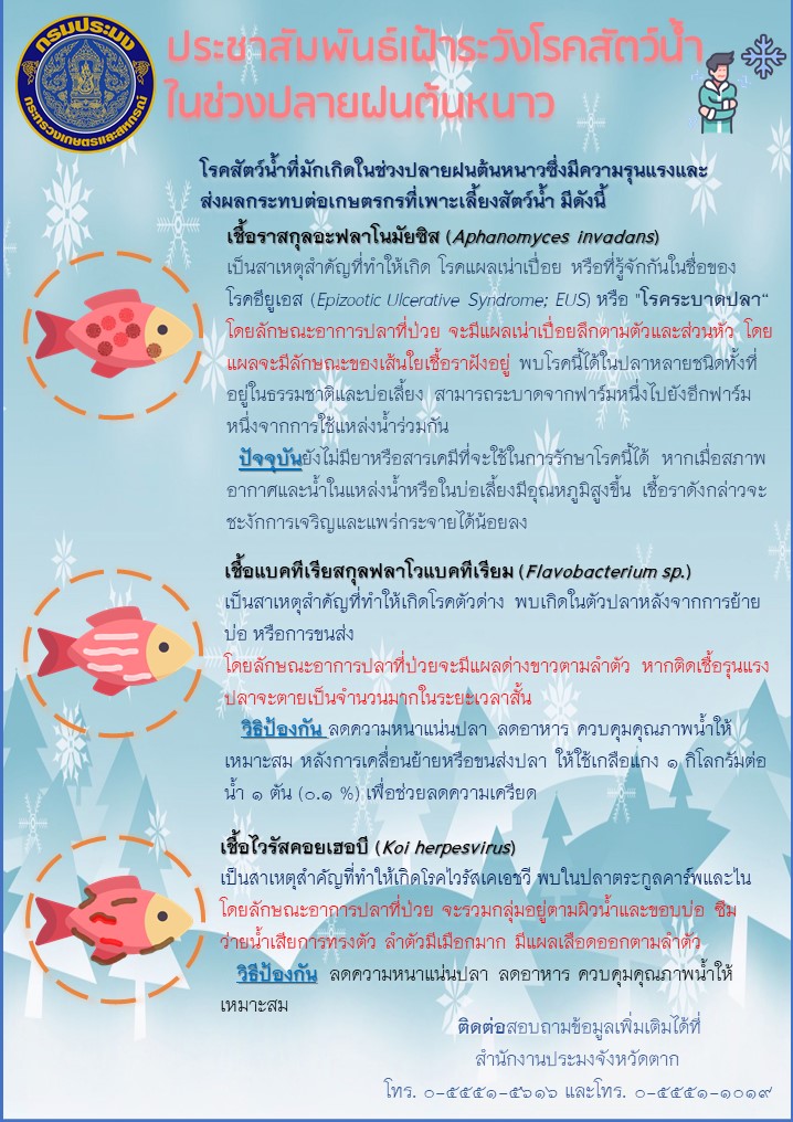 การเฝ้าระวังโรคสัตว์น้ำในช่วงปลายฝนต้นหนาว และแนวทางในการปฏิบัติเพื่อป้องกันและแก้ไขปัญหาการเกิดโรคสัตว์น้ำ..คลิก