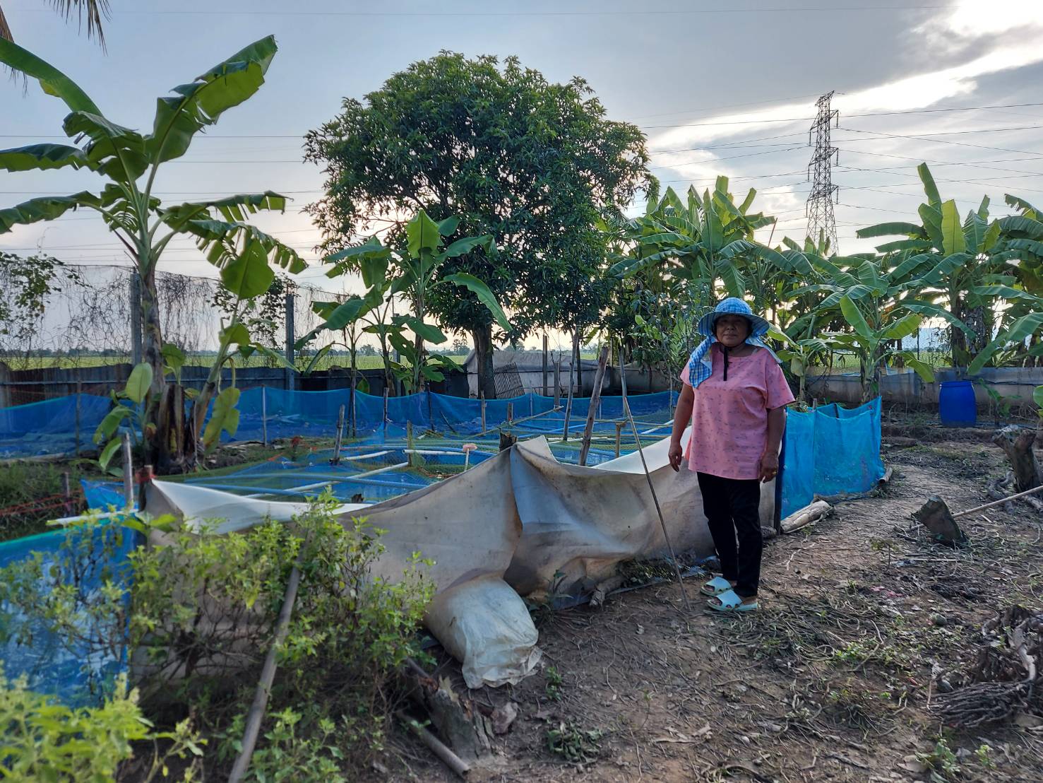 ขึ้นทะเบียนผู้เพาะเลี้ยงสัตว์น้ำ..คลิก