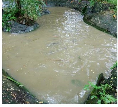 ลงติดตามตรวจเยี่ยมและประเมินศักยภาพศูนย์เครือข่ายด้านการประมง..คลิก
