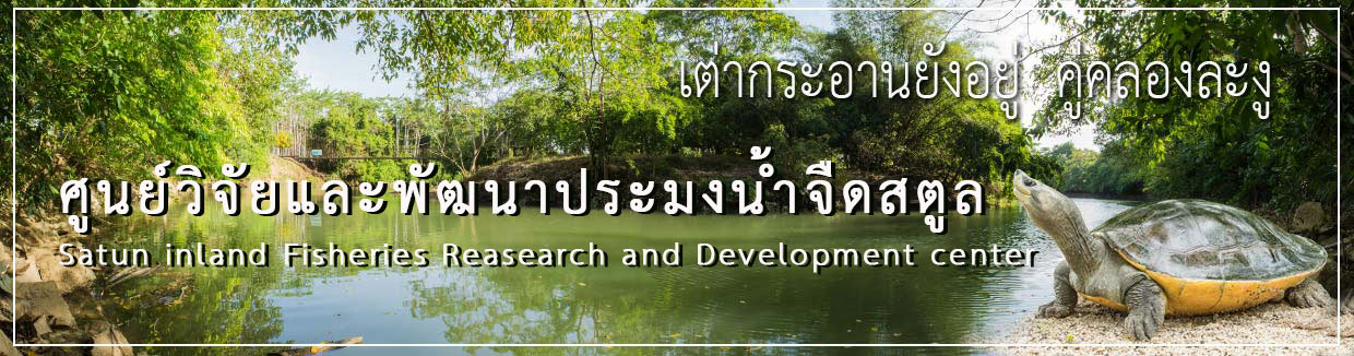 Headweb Banner 4