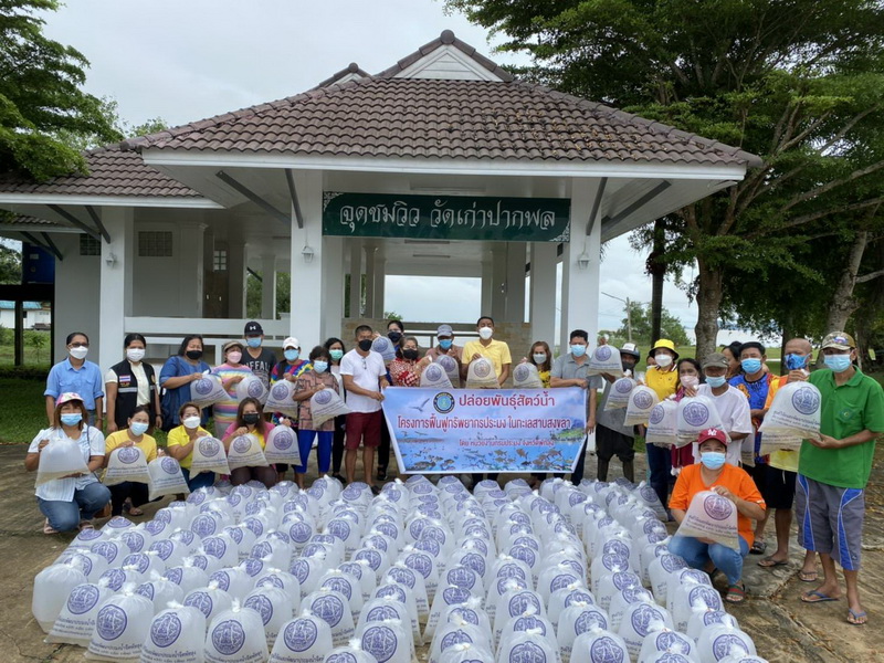สนับสนุนพันธุ์ปลากินพืช เพื่อปล่อยลงสู่ทะเลสาบสงขลา อำเภอบางแก้ว จังหวัดพัทลุง..คลิก