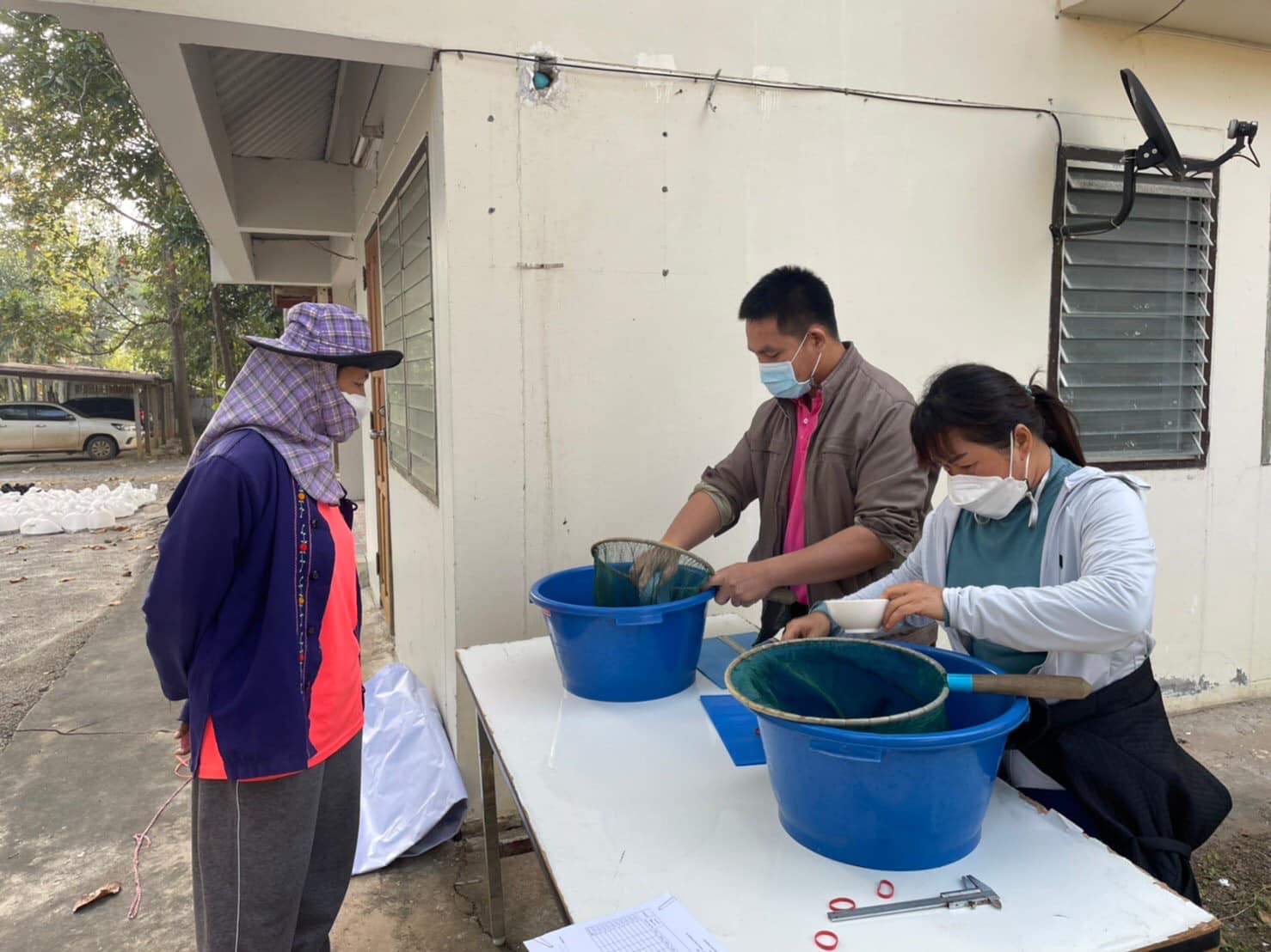 วันที่ 1 ธันวาคม 2564 เวลา 08.00 น. ตรวจรับปัจจัยการผลิต สำหรับมอบแก่เกษตรกรโครงการพัฒนาและเสริมสร้างความเข้มแข็งของเศรษฐกิจฐานราก งบประมาณรายจ่ายงบกลางรายการสำรองจ่ายเพื่อกรณีฉุกเฉินหรือจำเป็นปีงบประมาณ พ.ศ.2564..คลิก