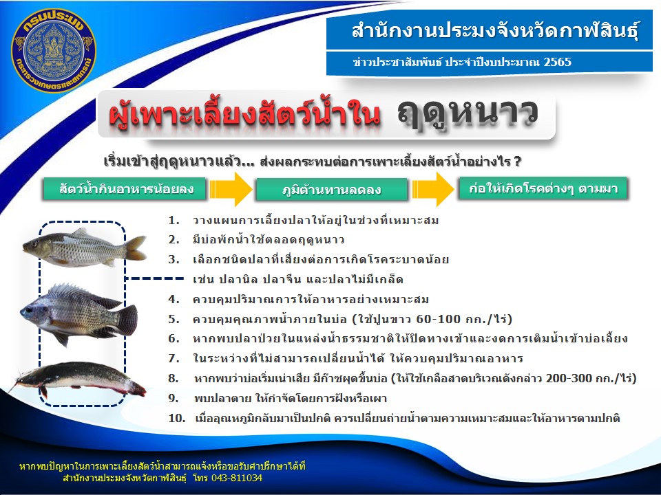 แจ้งเตือนเกษตรกรผู้เพาะเลี้ยงสัตว์น้ำในการเฝ้าระวังโรคสัตว์น้ำในฤดูหนาว