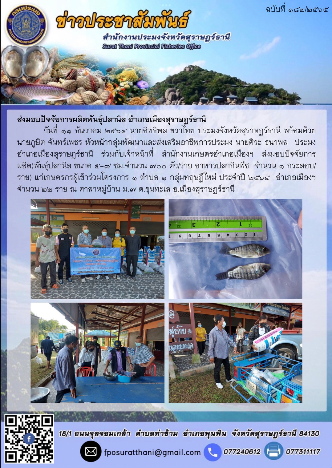 ส่งมอบปัจจัยการผลิตพันธุ์ปลานิล? อำเภอเมืองสุราษฎร์ธานี        ..คลิก