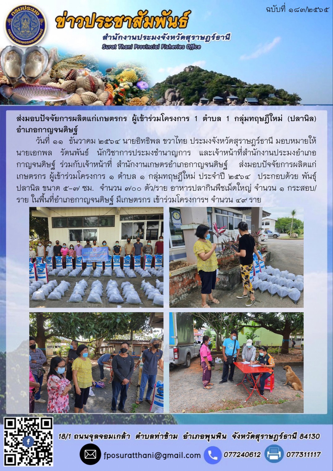 ส่งมอบปัจจัยการผลิตแก่เกษตรกร ผู้เข้าร่วมโครงการ 1 ตำบล 1 กลุ่มทฤษฎีใหม่ (ปลานิล) อำเภอกาญจนดิษฐ์      ..คลิก