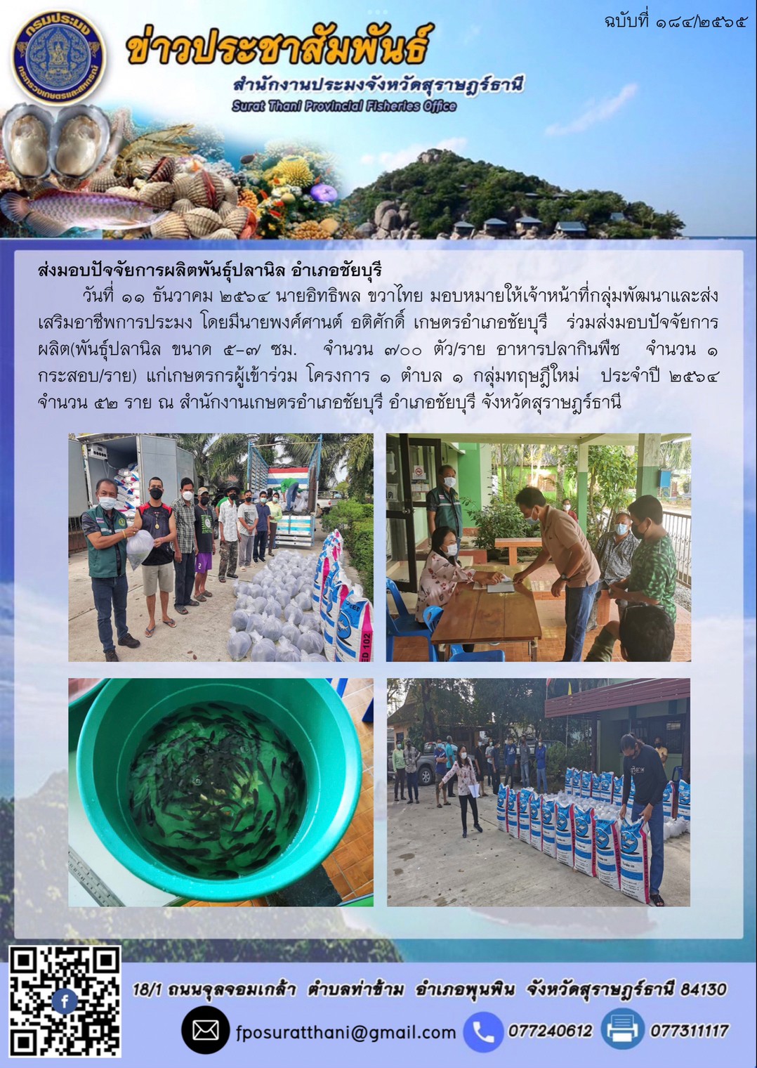 ส่งมอบปัจจัยการผลิตพันธุ์ปลานิล อำเภอชัยบุรี      ..คลิก