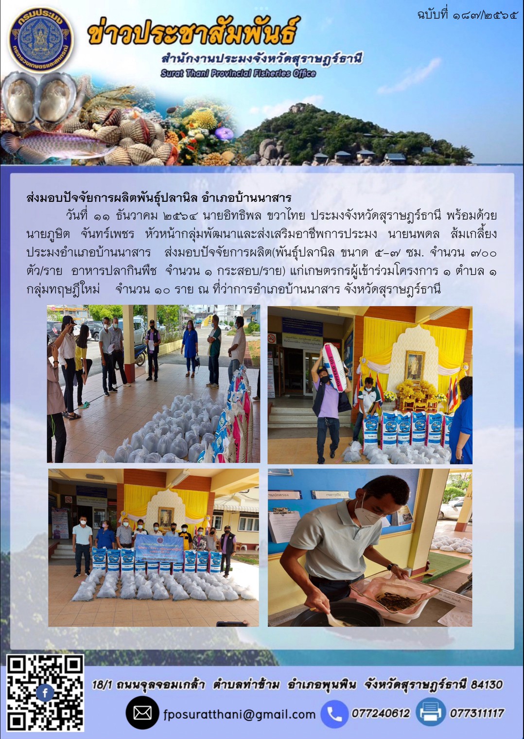 ส่งมอบปัจจัยการผลิตพันธุ์ปลานิล อำเภอบ้านนาสาร      ..คลิก