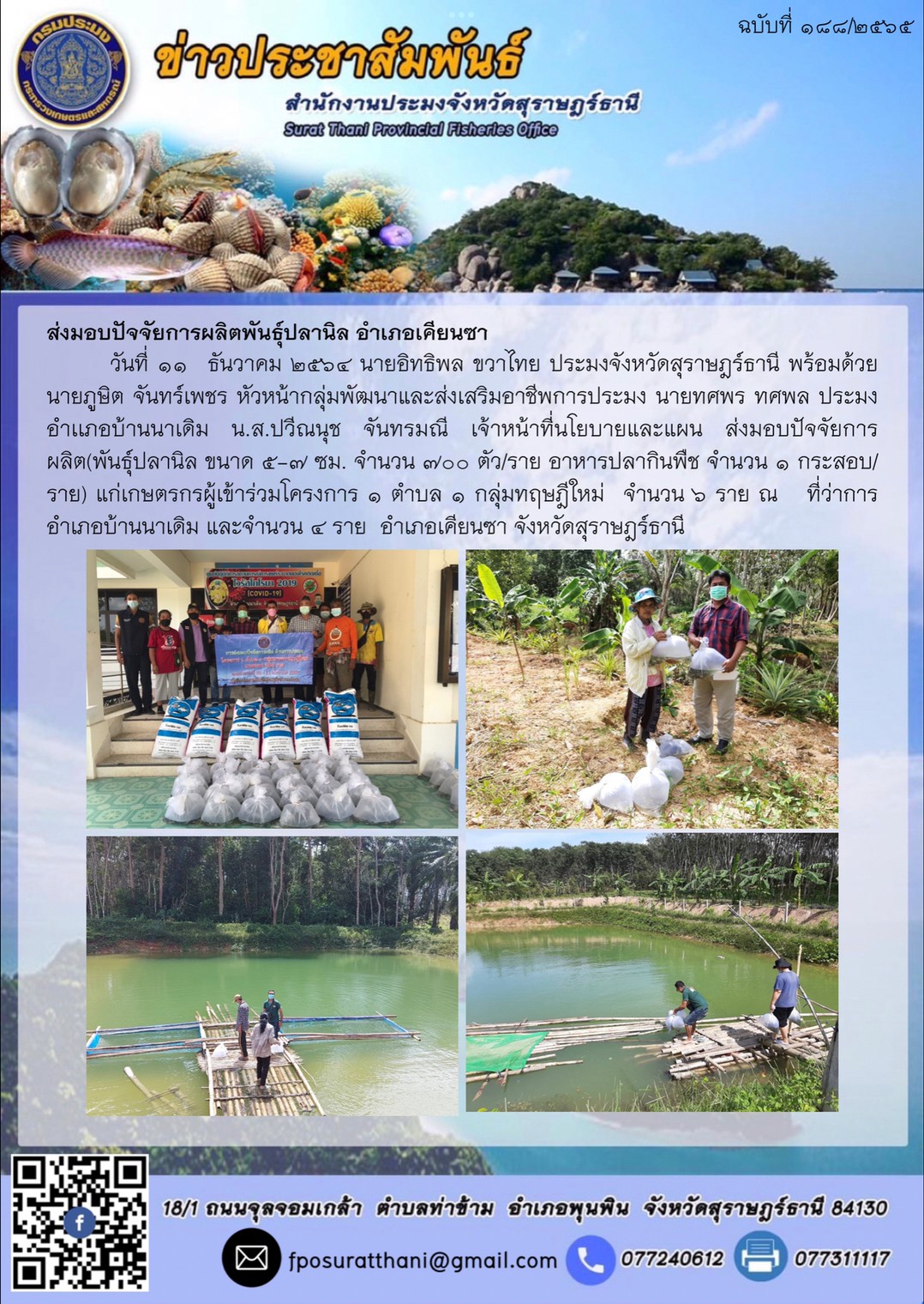ส่งมอบปัจจัยการผลิตพันธุ์ปลานิล? อำเภอเคียนซา      ..คลิก