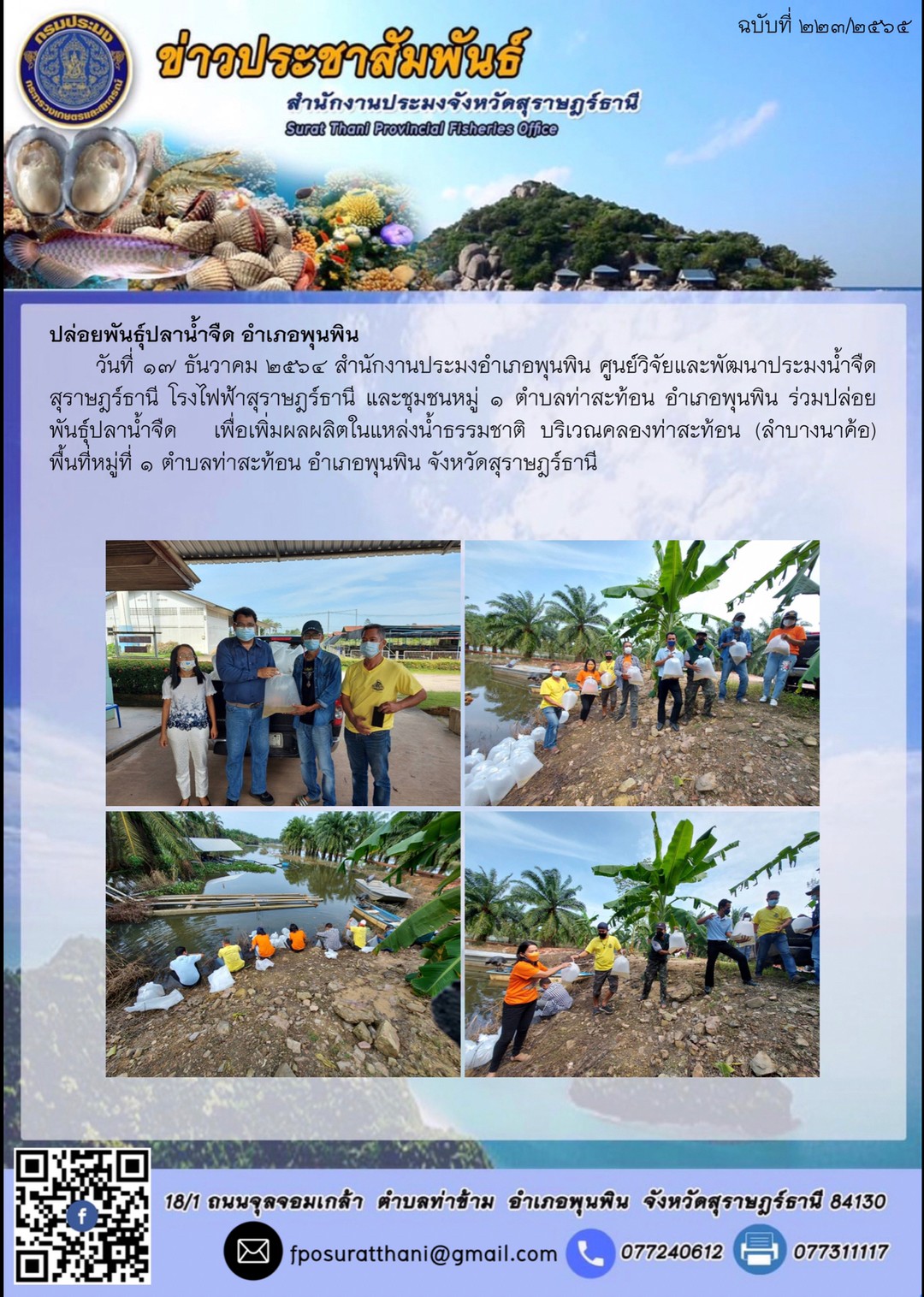 ปล่อยพันธ์ุปลาน้ำจืด อำเภอพุนพิน      ..คลิก
