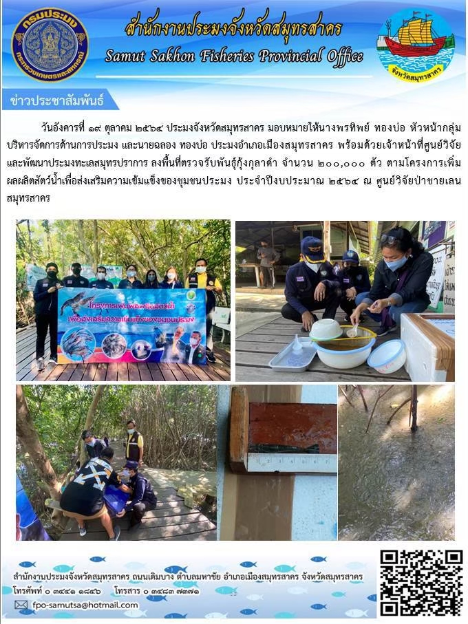 ลงพื้นที่ตรวจรับพันธุ์กุ้งกุลาดำ จำนวน 200,000 ตัว ตามโครงการเพิ่มผลผลิตสัตวืน้ำเพื่อส่งเสริมความเข้มแข็งของชุมชนประมง ประจำปีงบประมาณ 2564 ณ ศูนย์วิจัยป่าชายเลนสมุทรสาคร ..คลิก