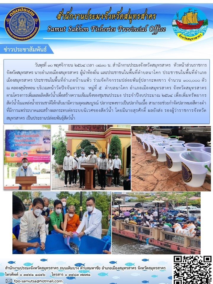 ประชาสัมพันธ์พื้นทีอำเภอเมืองสมุทรสาคร ประชาชนในพื้นที่อำเภอบ้านแพ้ว ร่วมจัดกิจกรรมปล่อยพันธุ์ปลากระพงขาว จำนวน 100,000 ตัว ณ คลองสุนัขหอน บริเวณหน้าวัดปัจจันตาราม  หมู่ที่ 5 ตำบลนาโคก อำเภอเมืองสมุทรสาคร จังหวัดสมุทรสาคร ตามโครงการเพิ่มผลผลิตสัตว์น้ำเพื่อสร้างความเข้มแข็งของชุมชนประมง ประจำปีงบประมาณ 2564 เพื่อเพิ่มทรัพยากรสัตว์น้ำในแหล่งน้ำธรรมชาติให้กลับมามีความอุดมสมบูรณ์ ปลากระพงขาวเป็นปลากินเนื้อ สามารถช่วยกำจัดปลาหมอสีคางดำที่มีการแพร่ระบาดและสร้างผลกระทบต่อระบบนิเวศน์ของสัตว์น้ำ โดยมีนายสุรศักดิ์ ผลยังส่ง รองผู้ว่าราชการจังหวัดสมุทรสาคร  เป็นประธานปล่อยพันธุ์สัตว์น้ำ..คลิก