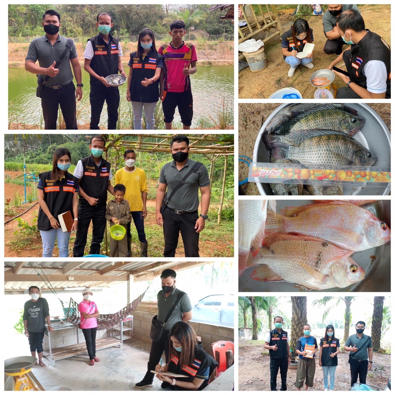 ติดตามประเมินผลโครงการ 1 ตำบล 1 กลุ่มเกษตรทฤษฎีใหม่ปีงบประมาณ 2564 ของเกษตรกรที่เข้าร่วมโครงการจำนวน 9 ราย..คลิก