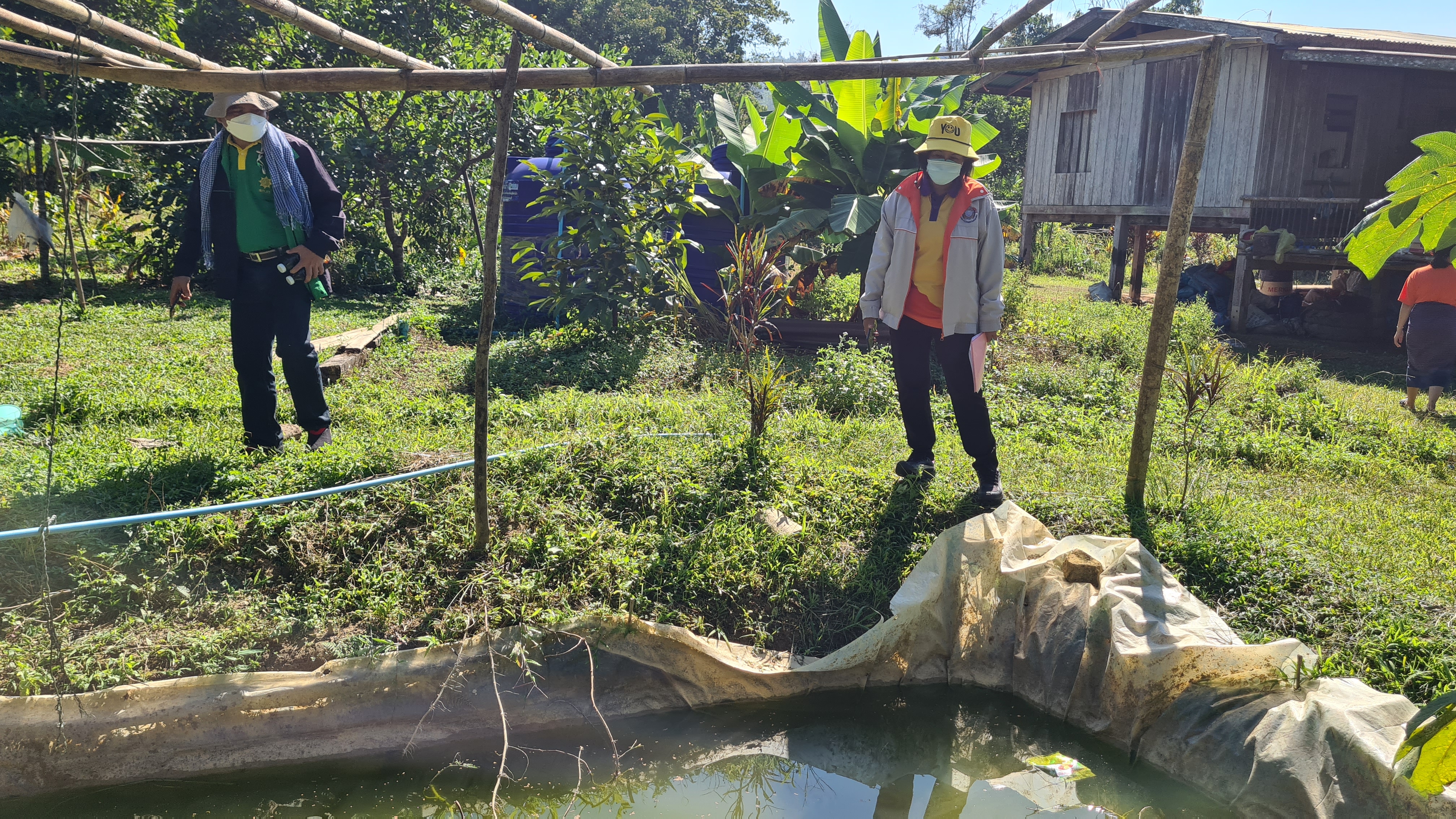 ขับเคลื่อนโครงการพัฒนาชุมชนในเขตรักษาพันธุ์สัตว์ป่าและอุทยานแห่งชาติ จังหวัดกาญจนบุรี  ในพื้นที่หมู่ที่ 4 บ้านไล่โว่ – สาละวะ..คลิก