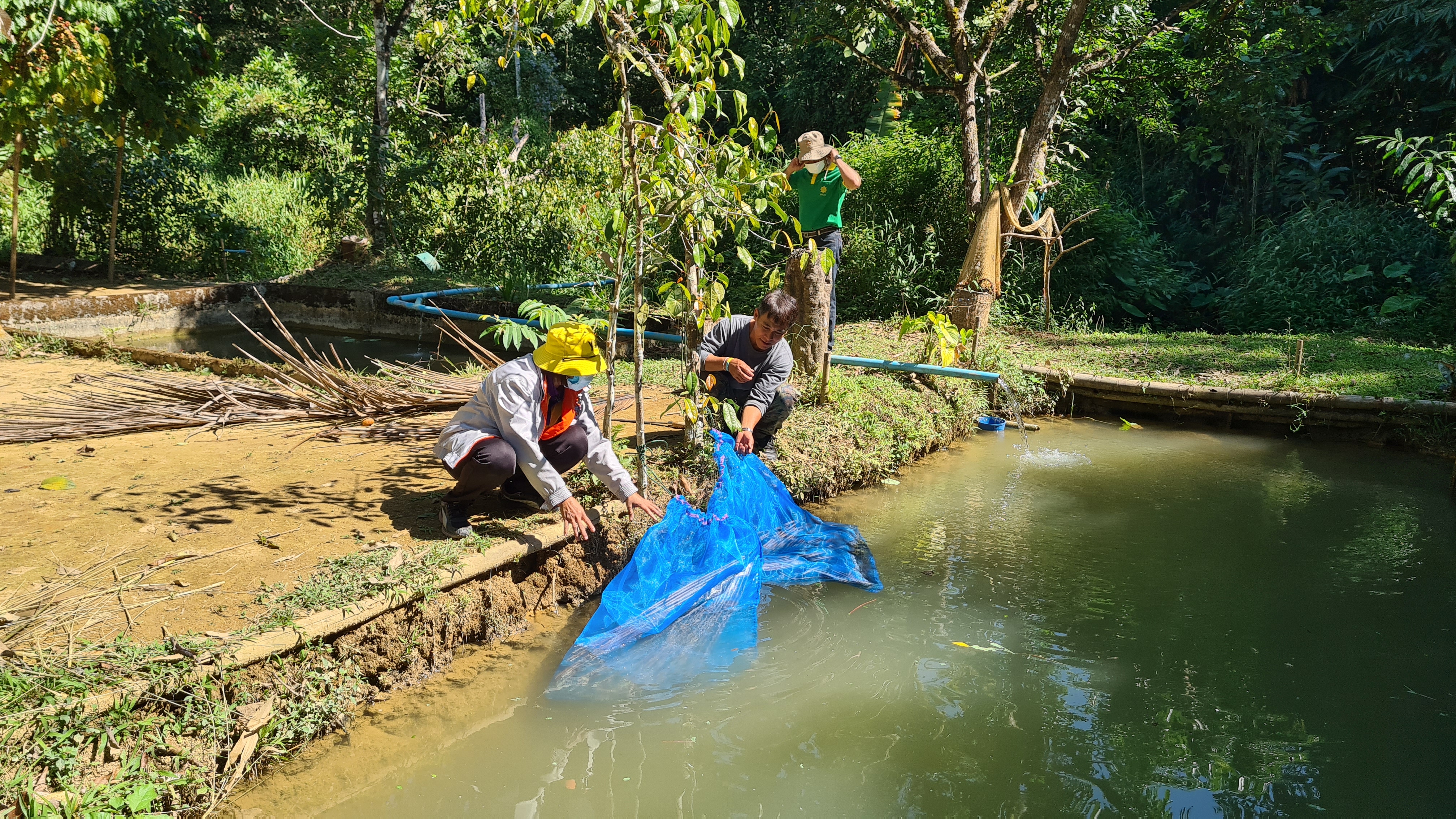 ดำเนินการติดตามและประเมินผลผลิตปฏิบัติงานตามโครงการ 1 ตำบล 1กลุ่มเกษตรทฤษฏีใหม่ ครั้งที่ 1/2564..คลิก