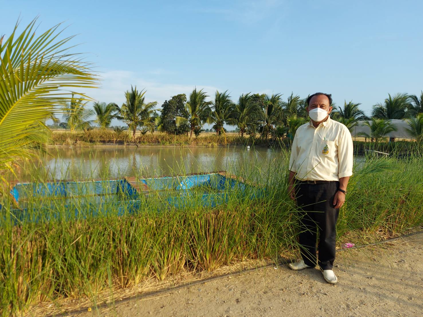 เข้าตรวจเยี่ยมแปลงศูนย์เรียนรู้การเพิ่มประสิทธิภาพการผลิตสินค้าเกษตร  รายนายแรม  เชียงกา..คลิก