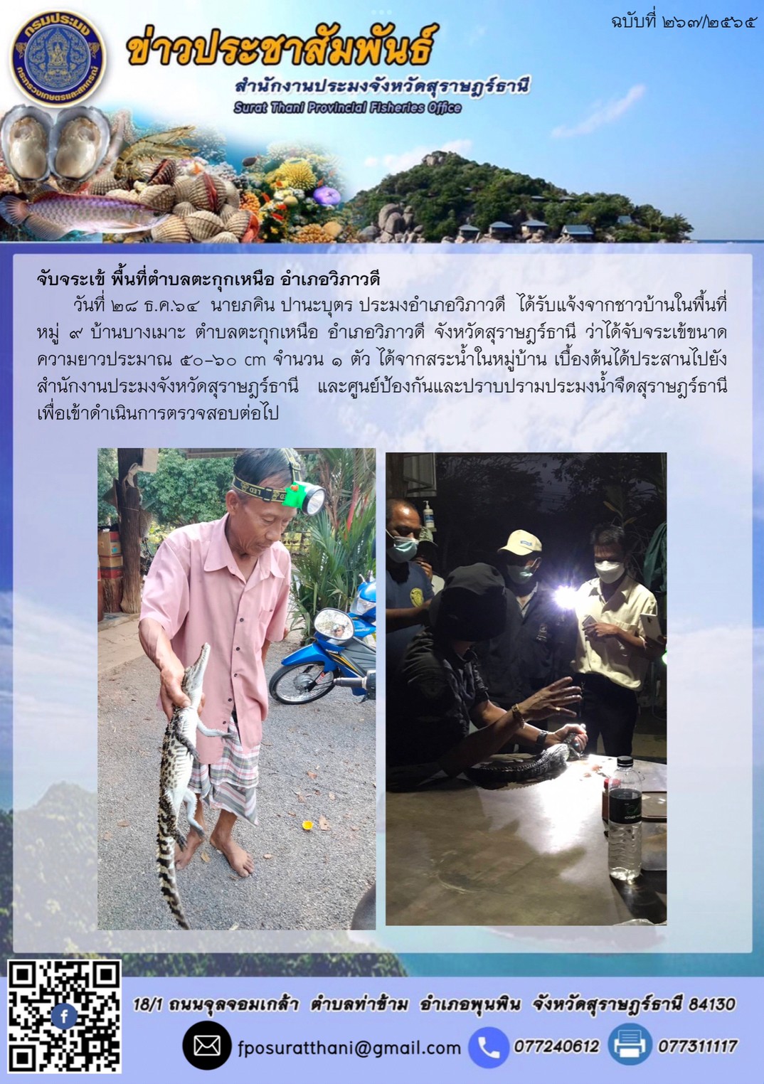จับจระเข้ พื้นที่ตำบลตะกุกเหนือ อำเภอวิภาวดี      ..คลิก
