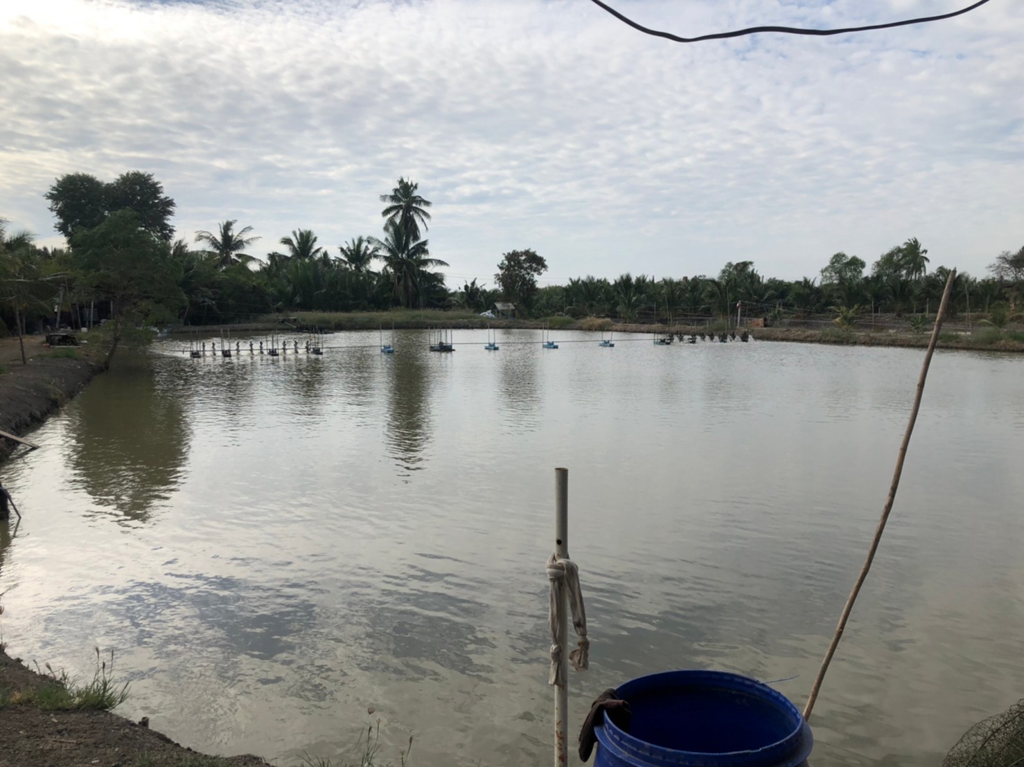 โครงการระบบส่งเสริมเกษตรแปลงใหญ่ ปี 2565..คลิก