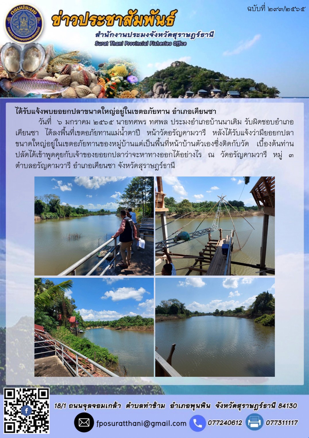 ได้รับแจ้งพบยอยกปลาขนาดใหญ่อยู่ในเขตอภัยทาน อำเภอเคียนซา..คลิก