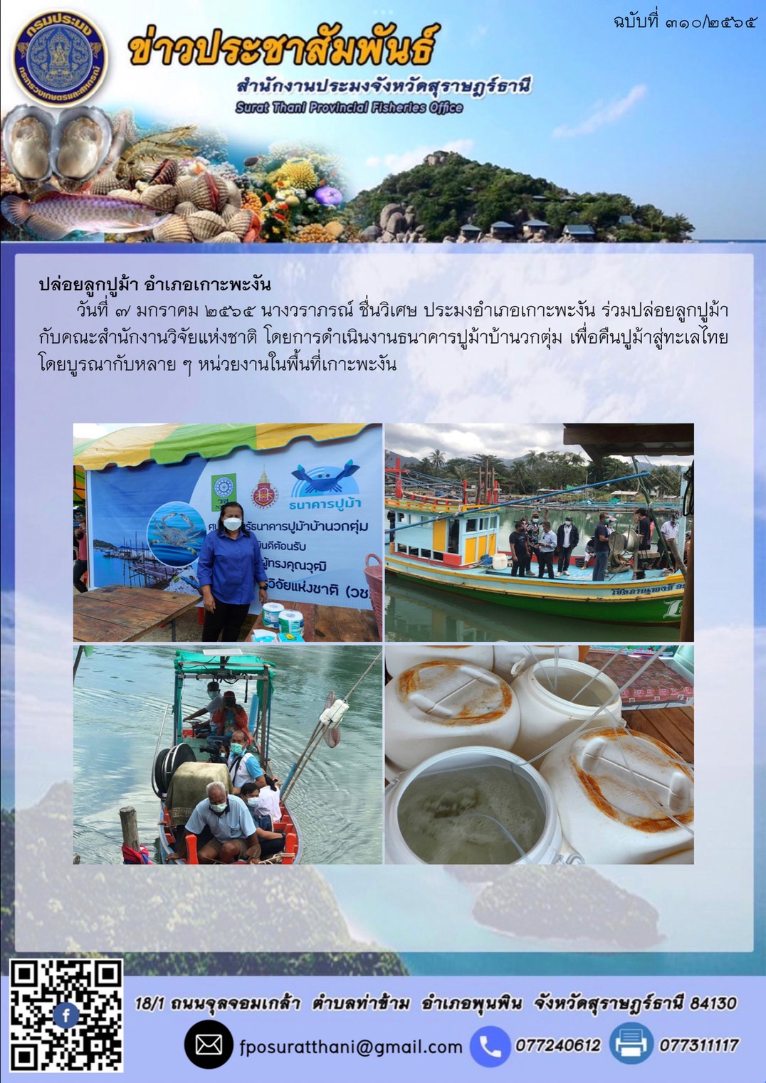 ปล่อยลูกปูม้า อำเภอเกาะพะงัน..คลิก